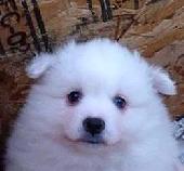 A XXI. sz�zad �zlete