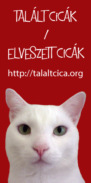 Talált cicák / Elveszett cicák Talált cicák / Elveszett cicák